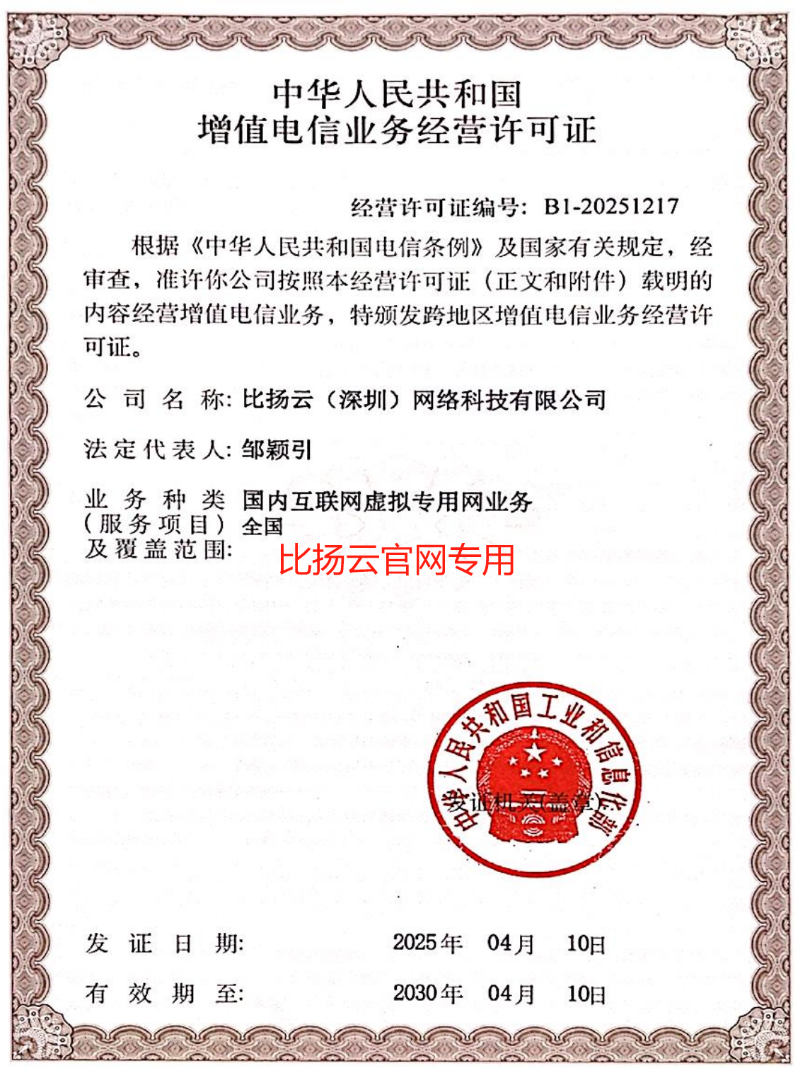 国内互联网虚拟专用网业务